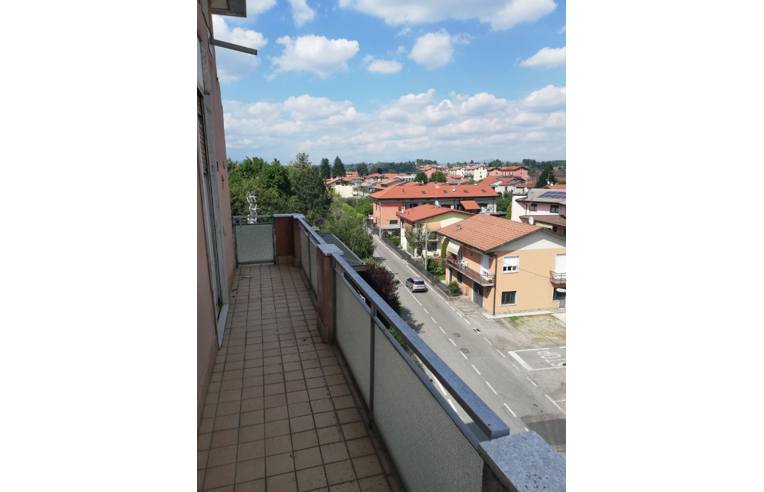 immagine annuncio 3 di 7