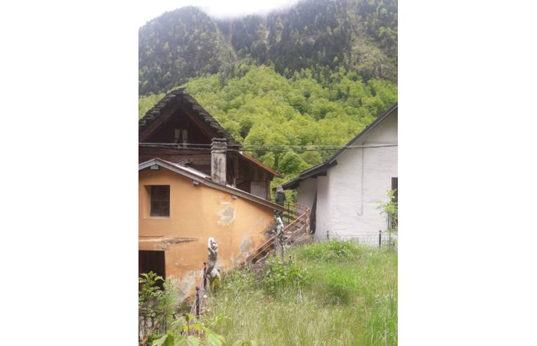 immagine annuncio 6 di 7