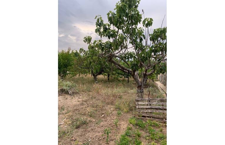 Foto 6 - Villa in Vendita da Privato - Pachino (Siracusa)