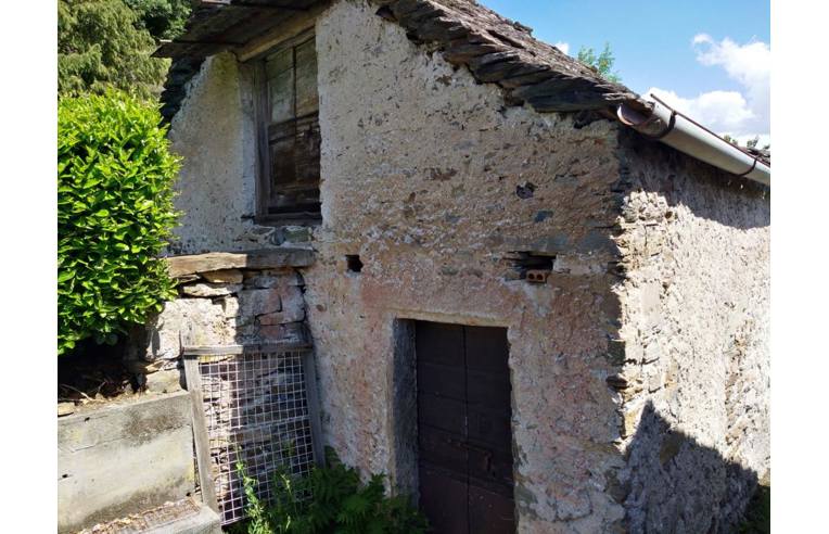 immagine annuncio 3 di 7