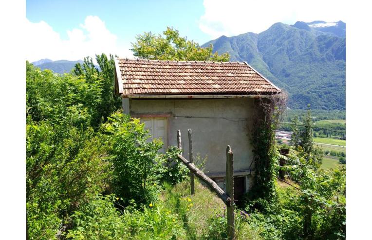 immagine annuncio 6 di 7