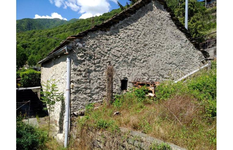 immagine annuncio 4 di 7