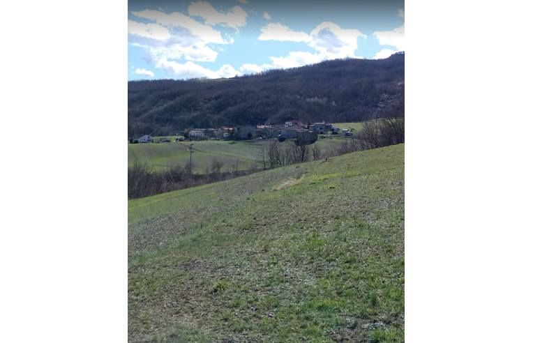 immagine annuncio 2 di 7