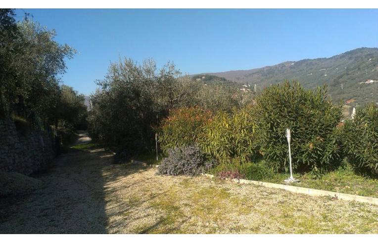 immagine annuncio 6 di 7