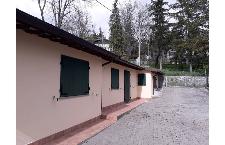 immagine annuncio 1 di 7