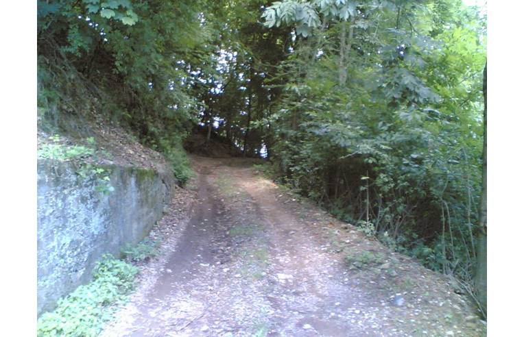immagine annuncio 1 di 2