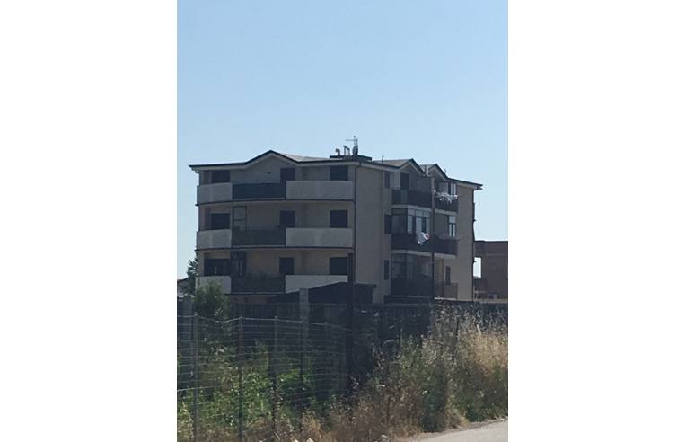 immagine annuncio 5 di 6