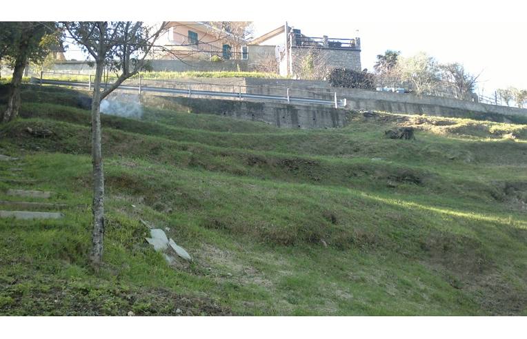 immagine annuncio 6 di 7