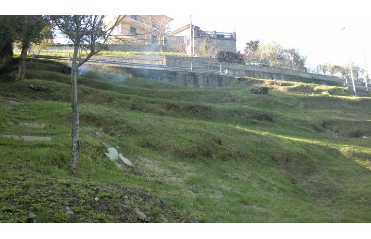 immagine annuncio 3 di 7
