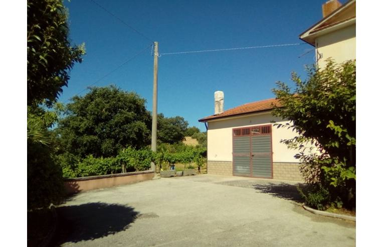 immagine annuncio 2 di 7