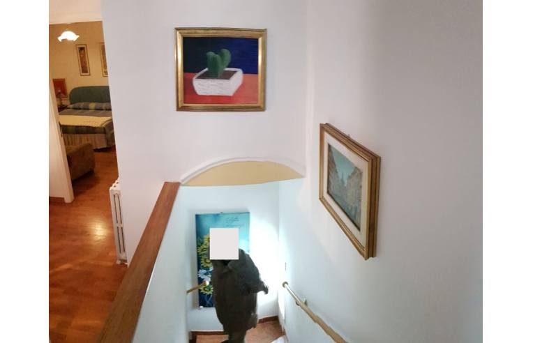 immagine annuncio 4 di 7
