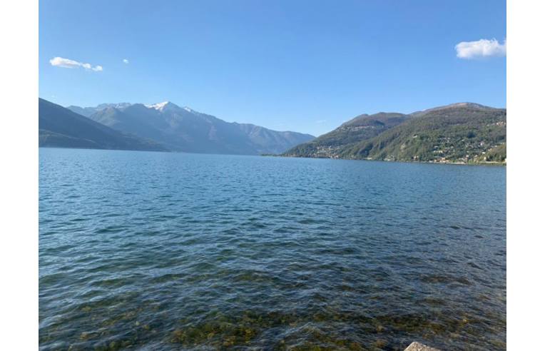 immagine annuncio 2 di 7