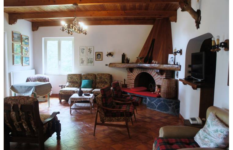 immagine annuncio 3 di 7