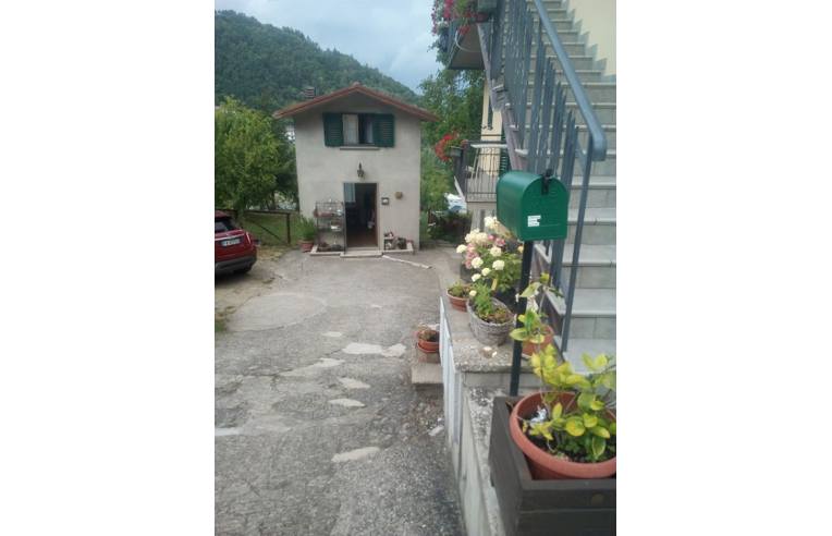 immagine annuncio 1 di 7