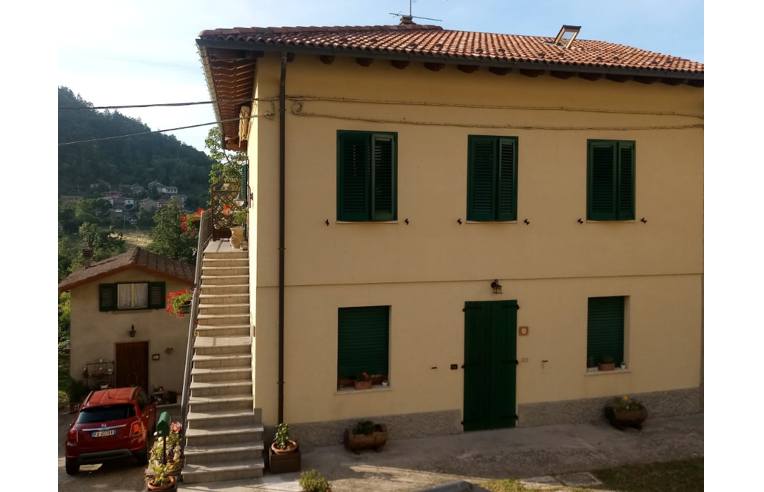 immagine annuncio 5 di 7