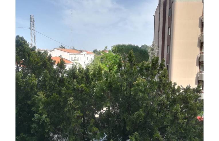 Foto 2 - Appartamento in Vendita da Privato - Termoli (Campobasso)