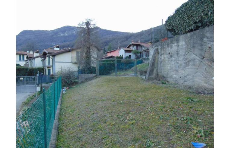 immagine annuncio 2 di 4