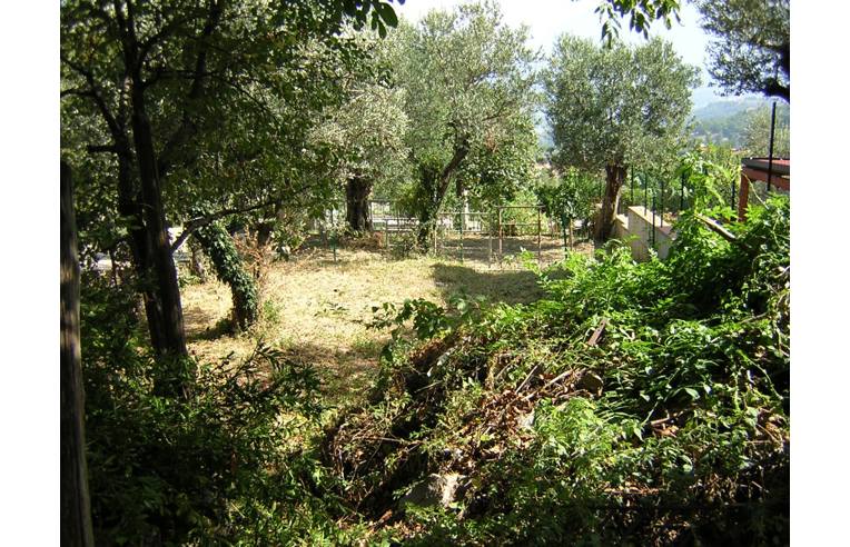 immagine annuncio 4 di 7