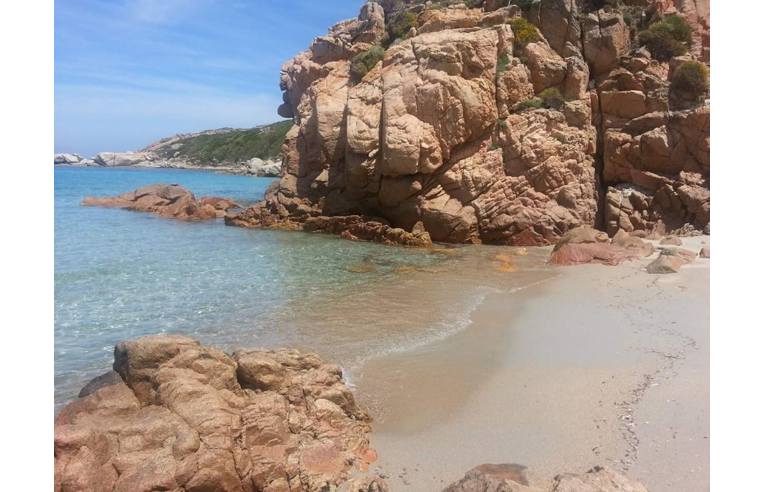 Foto 2 - Appartamento in Vendita da Privato - Santa Teresa Gallura (Olbia-Tempio)