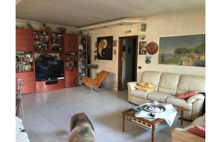 immagine annuncio 5 di 7