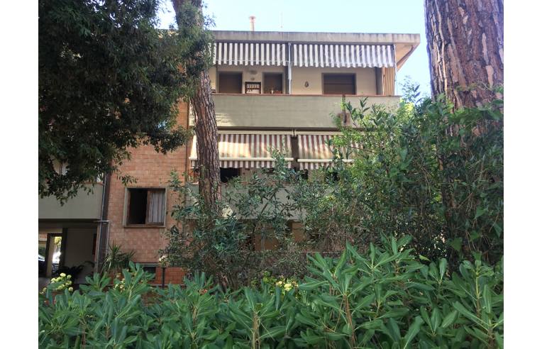 Foto 2 - Appartamento in Vendita da Privato - Grosseto, Frazione Marina Di Grosseto