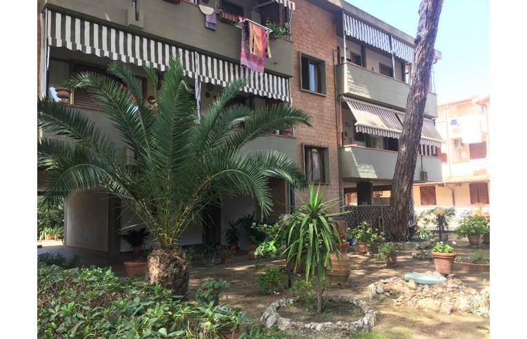 Foto 7 - Appartamento in Vendita da Privato - Grosseto, Frazione Marina Di Grosseto