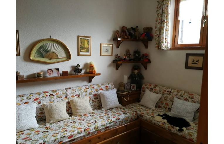 immagine annuncio 4 di 7