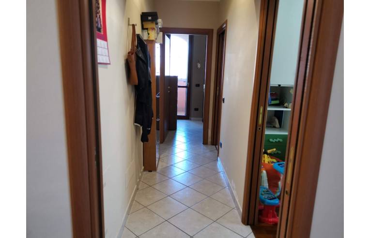 immagine annuncio 2 di 7