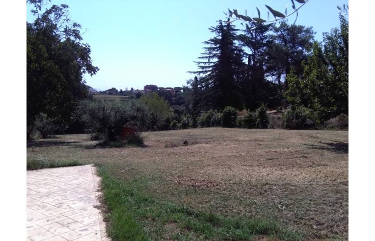 immagine annuncio 1 di 7