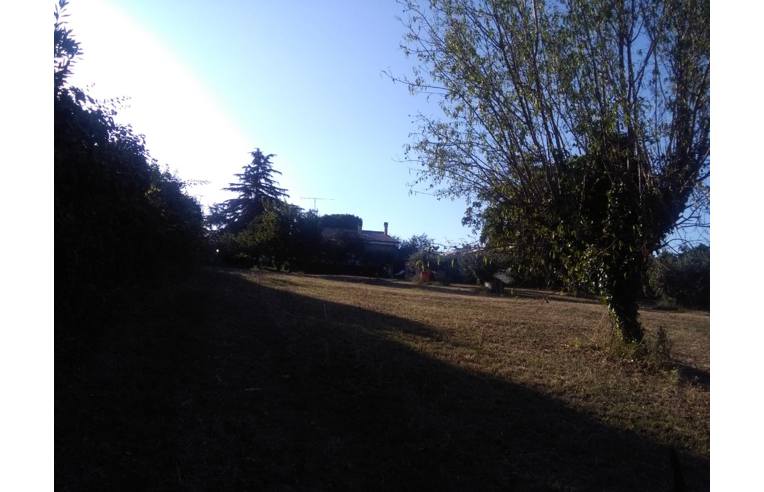 immagine annuncio 4 di 7