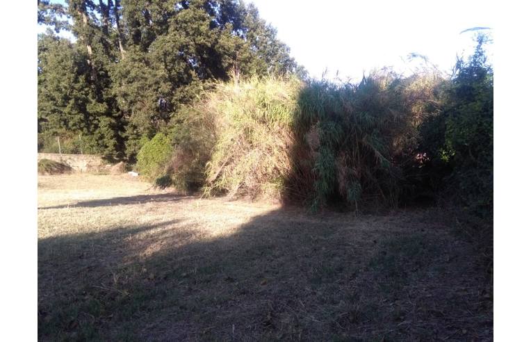 immagine annuncio 3 di 7