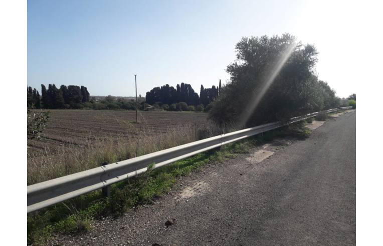 immagine annuncio 6 di 7