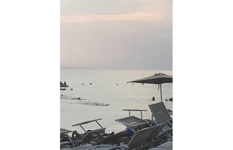Foto 8 - Affitto Appartamento Vacanze da Privato - Gallipoli (Lecce)