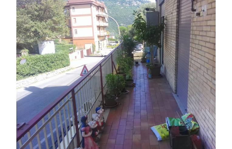 immagine annuncio 3 di 7