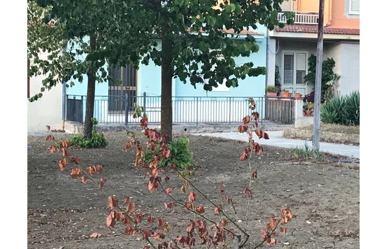 immagine annuncio 1 di 2