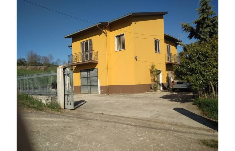 immagine annuncio 2 di 6