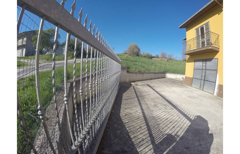 immagine annuncio 3 di 6