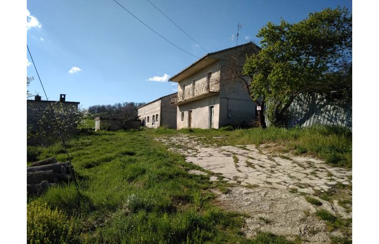 immagine annuncio 4 di 6
