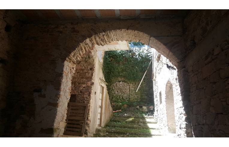 immagine annuncio 2 di 7