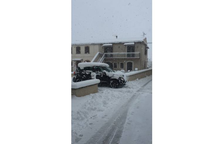 immagine annuncio 5 di 7