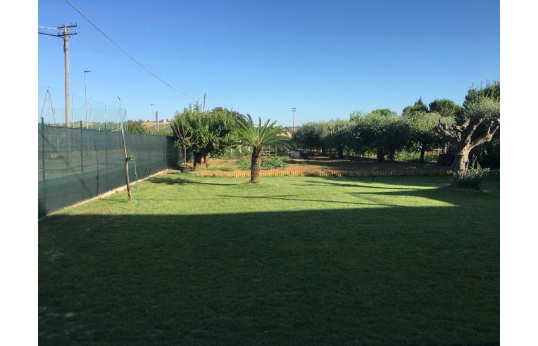 immagine annuncio 4 di 7