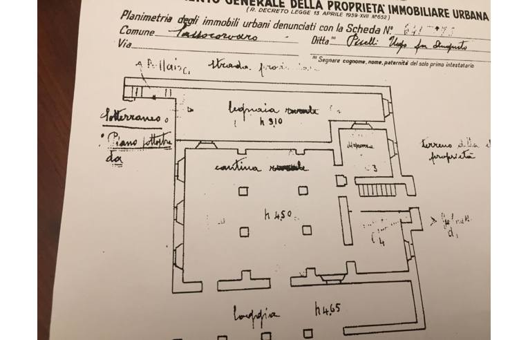 immagine annuncio 4 di 7