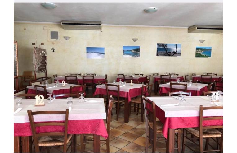 immagine annuncio 2 di 7