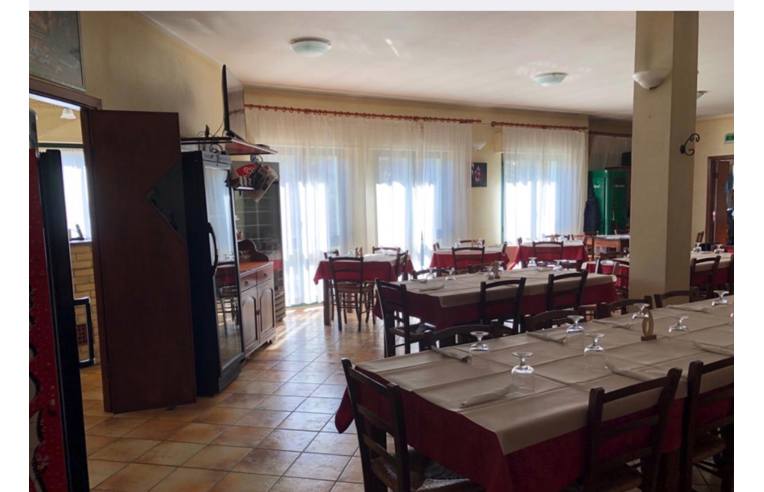 immagine annuncio 4 di 7