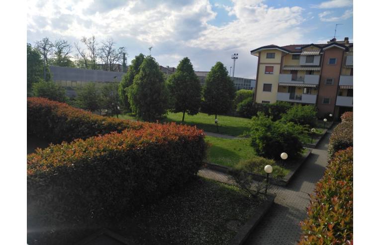 immagine annuncio 6 di 7