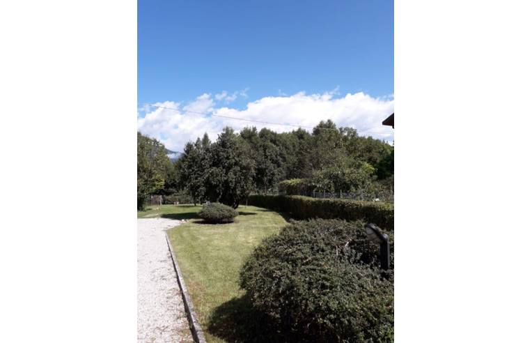 immagine annuncio 3 di 7