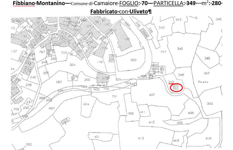 immagine annuncio 4 di 6