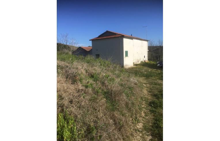 immagine annuncio 1 di 7