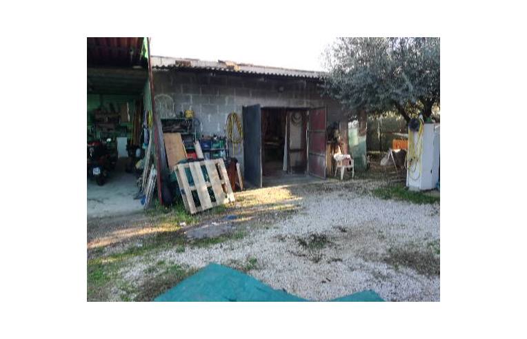 immagine annuncio 3 di 7