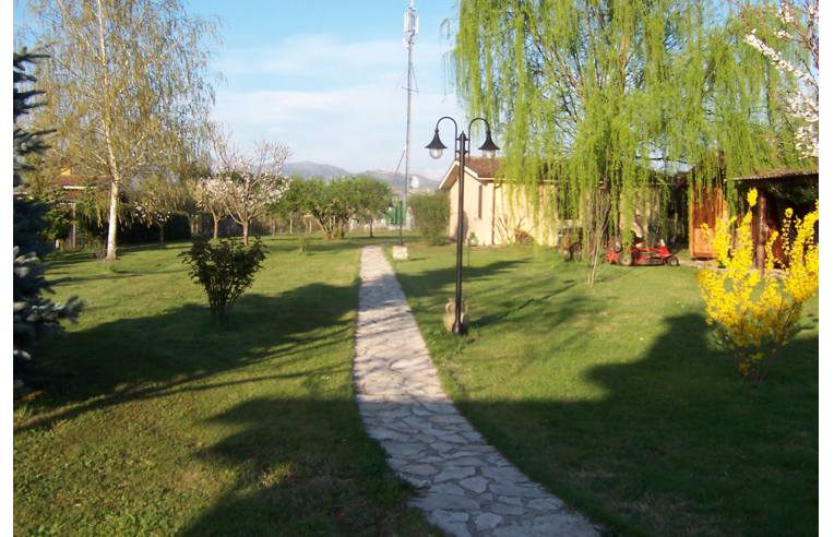 immagine annuncio 2 di 4